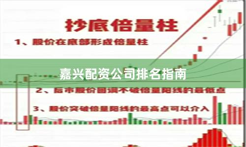 嘉兴配资公司排名指南