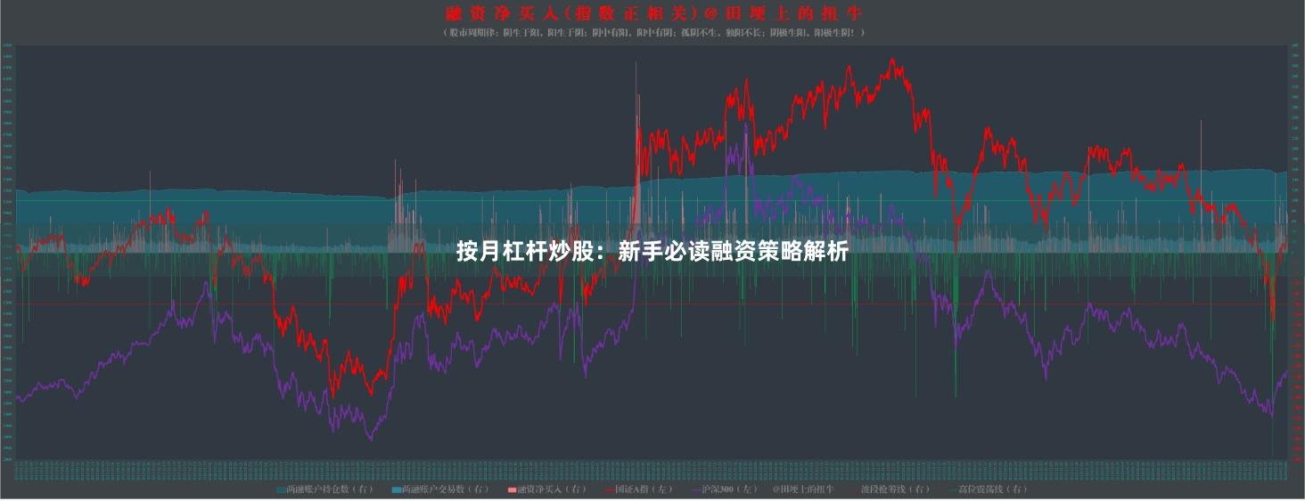 按月杠杆炒股：新手必读融资策略解析